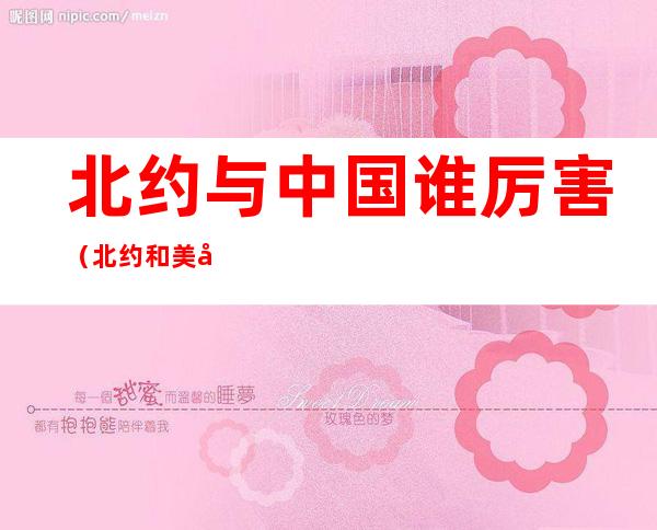 北约与中国谁厉害(北约和美国哪个厉害)
