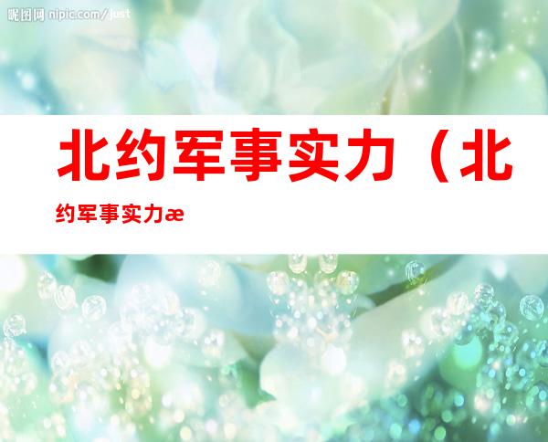 北约军事实力(北约军事实力概况)