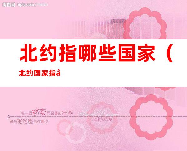 北约指哪些国家(北约国家指哪几个国家)