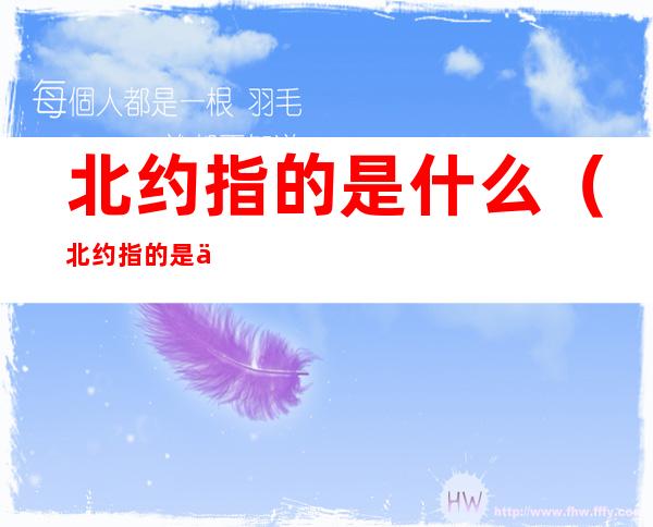 北约指的是什么(北约指的是什么,哪几个联合国?)