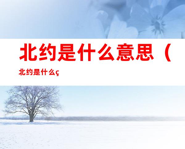 北约是什么意思(北约是什么组织)