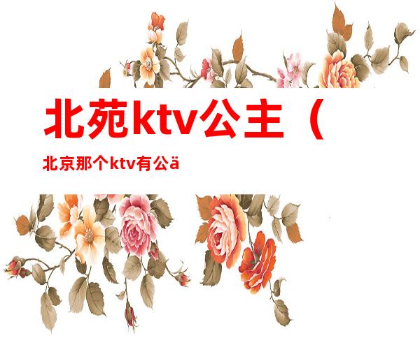 北苑ktv公主(北京那个ktv有公主)