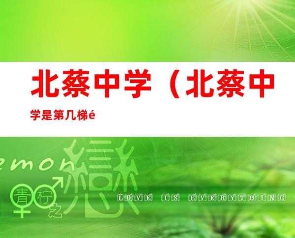 北蔡中学(北蔡中学是第几梯队)
