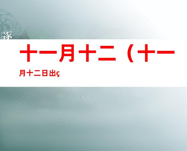 十一月十二(十一月十二日出生的人是什么命)