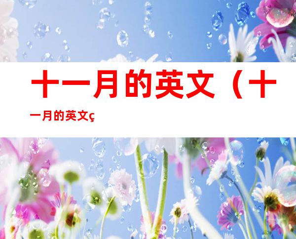 十一月的英文（十一月的英文缩写）