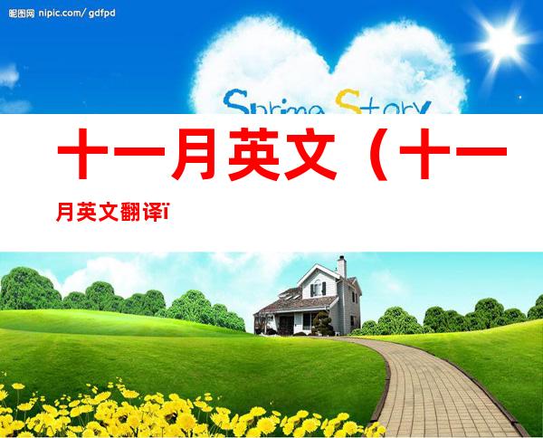 十一月英文（十一月英文翻译）