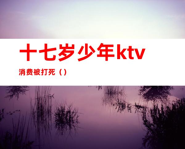 十七岁少年ktv消费被打死()