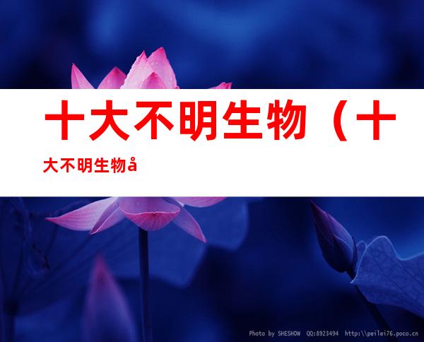 十大不明生物(十大不明生物图片大全)