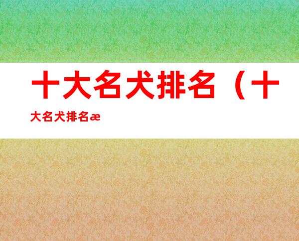 十大名犬排名(十大名犬排名排行榜)