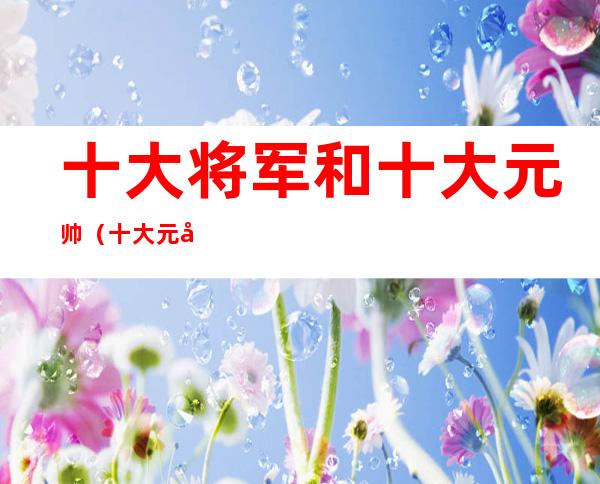 十大将军和十大元帅(十大元帅十大将军排名)