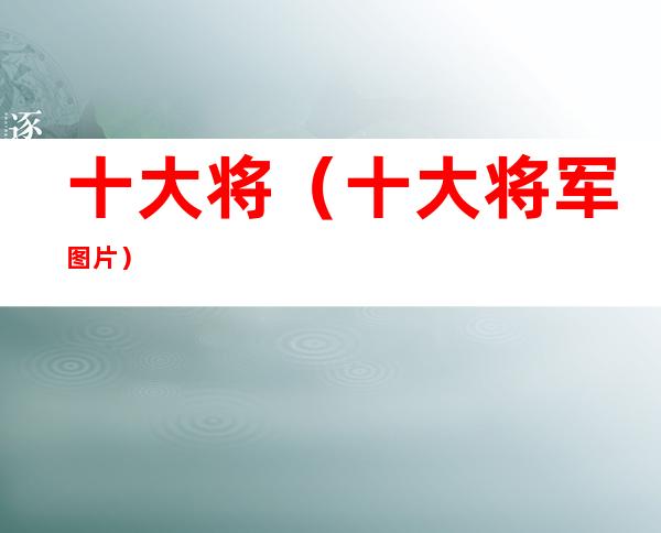 十大将（十大将军图片）