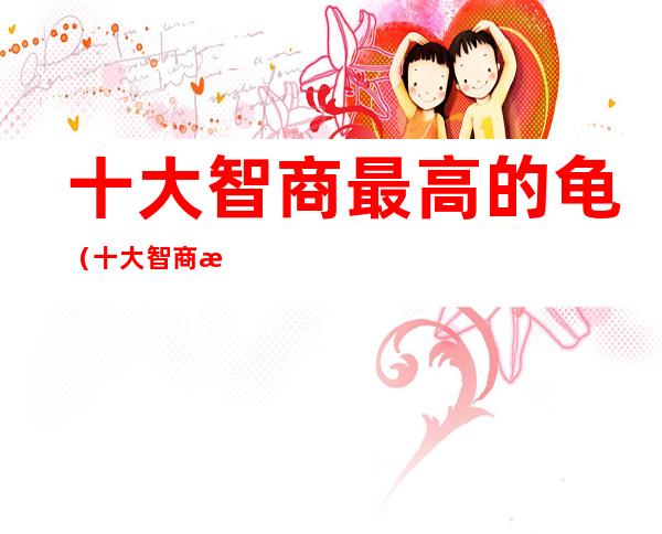 十大智商最高的龟（十大智商最高的龟什么宠物龟漂亮）