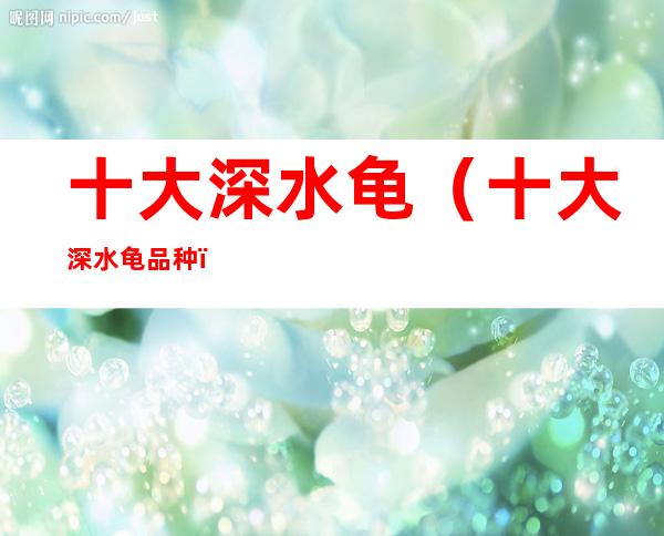 十大深水龟(十大深水龟品种)