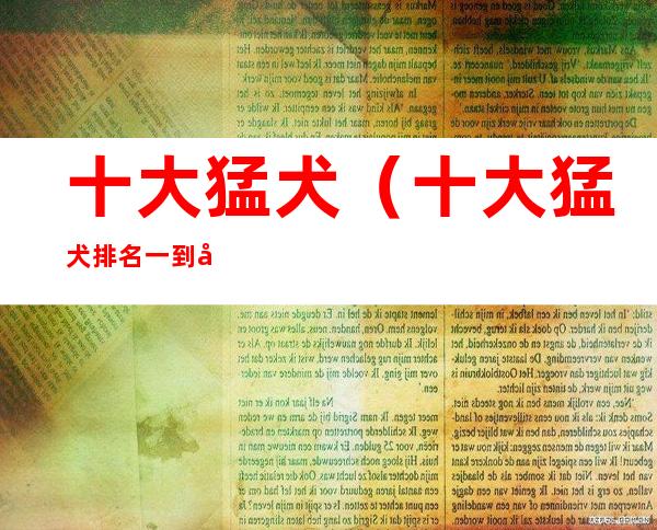 十大猛犬(十大猛犬排名一到十)