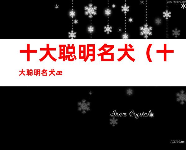 十大聪明名犬（十大聪明名犬智商排名）