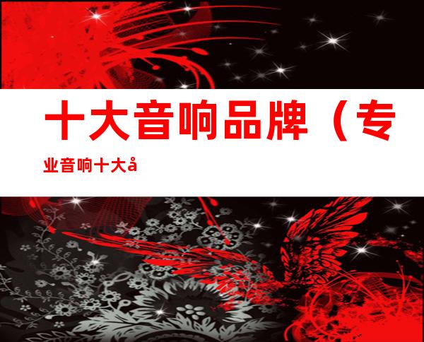 十大音响品牌(专业音响十大品牌)