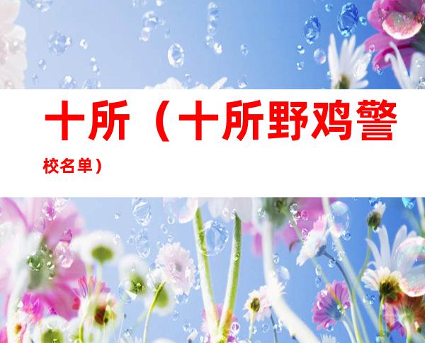 十所(十所野鸡警校名单)