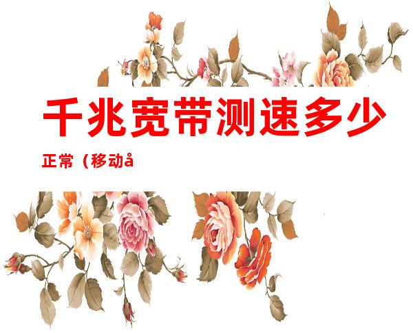 千兆宽带测速多少正常（移动千兆宽带测速多少正常）