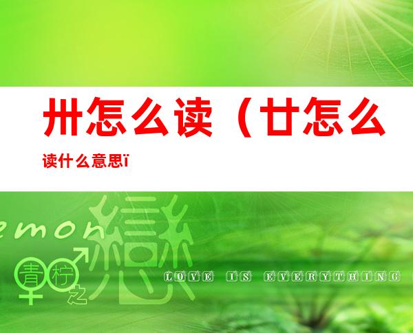 卅怎么读(廿怎么读什么意思)