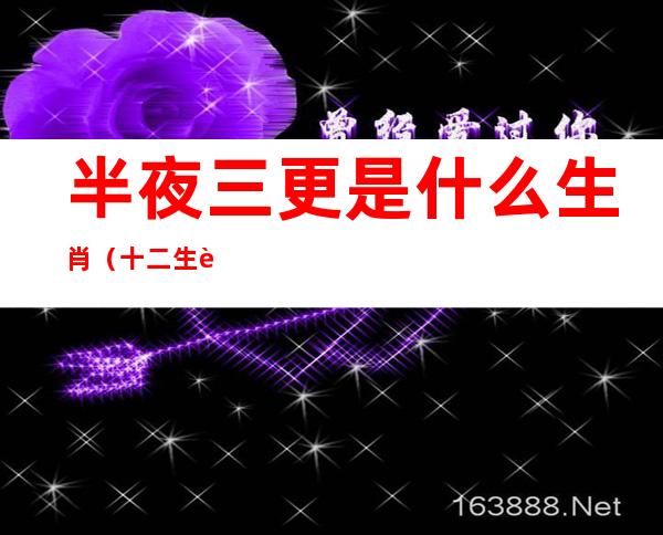 半夜三更是什么生肖(十二生肖半夜三更是什么生肖)