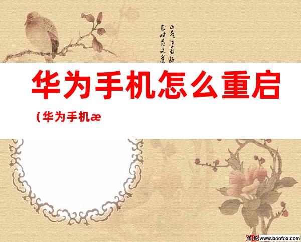 华为手机怎么重启(华为手机怎么重启应用程序)