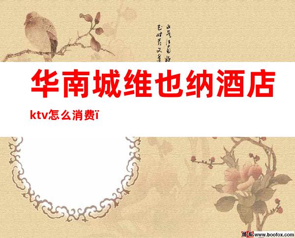 华南城维也纳酒店ktv怎么消费(城阳维也纳ktv)