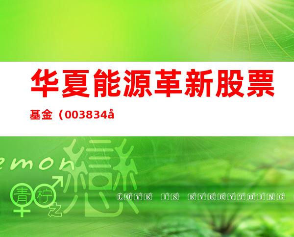 华夏能源革新股票基金(003834华夏能源革新股票基金)
