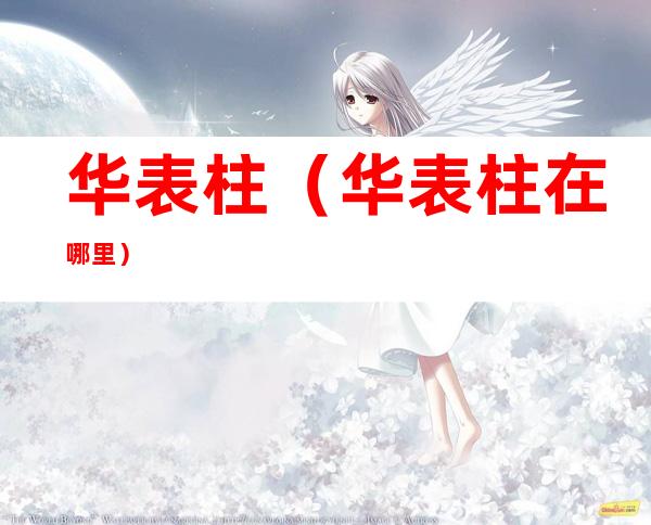 华表柱(华表柱在哪里)