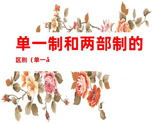 单一制和两部制的区别(单一制和两部制的区别和联系)
