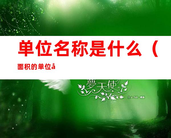 单位名称是什么(面积的单位名称是什么)