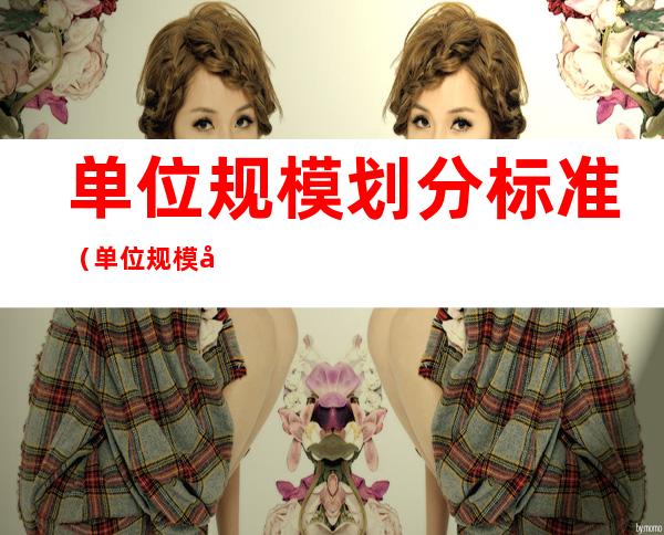 单位规模划分标准(单位规模划分标准最新)