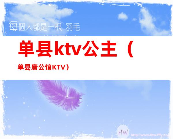 单县ktv公主(单县唐公馆KTV)