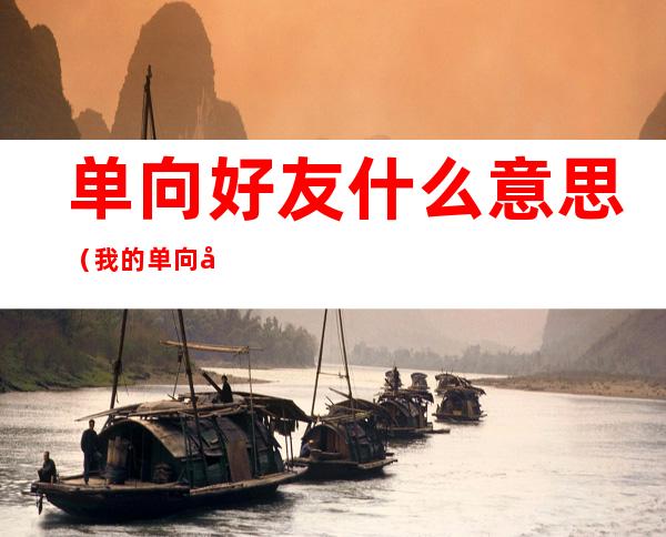 单向好友什么意思(我的单向好友什么意思)