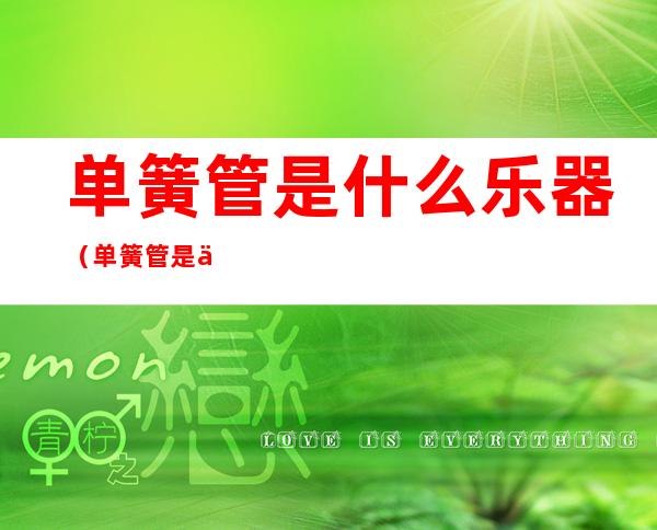 单簧管是什么乐器(单簧管是什么乐器种类)