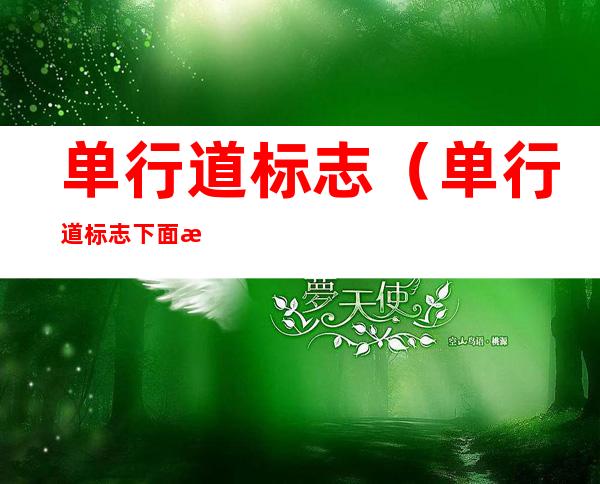 单行道标志(单行道标志下面时间段什么意思)