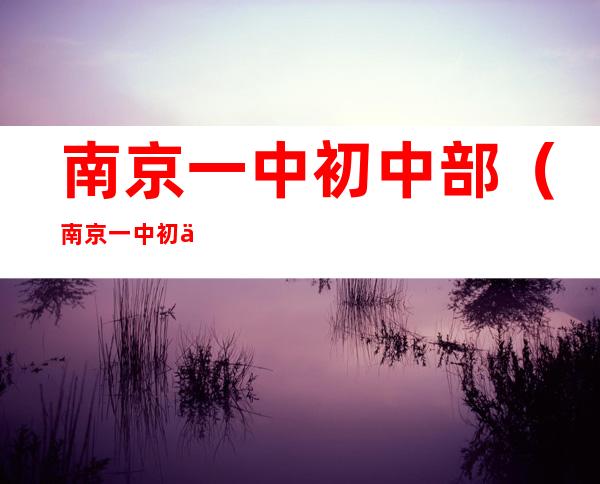 南京一中初中部(南京一中初中部 施教区)