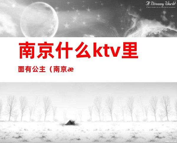 南京什么ktv里面有公主(南京星聚会ktv有公主吗)