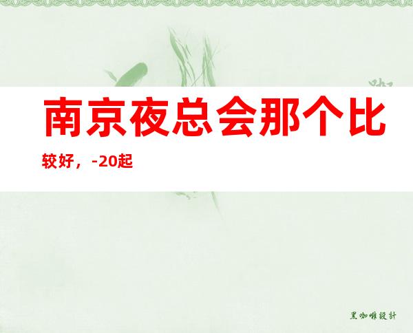 南京夜总会那个比较好，-20起