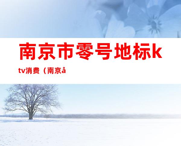 南京市零号地标ktv消费(南京市零号地标ktv消费价格)