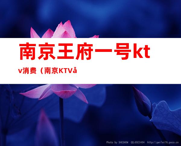 南京王府一号ktv消费（南京KTV出台价格）