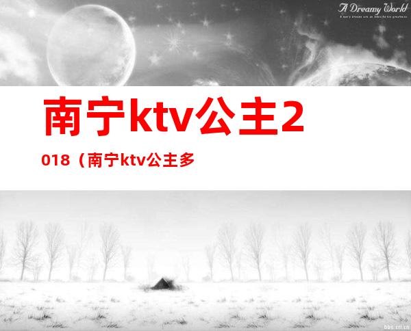 南宁ktv公主2018(南宁ktv公主多少钱)