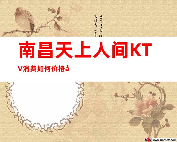 南昌天上人间KTV消费如何价格多少，节目好玩吗？