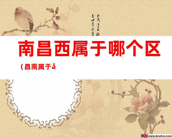 南昌西属于哪个区(昌南属于南昌哪个区)