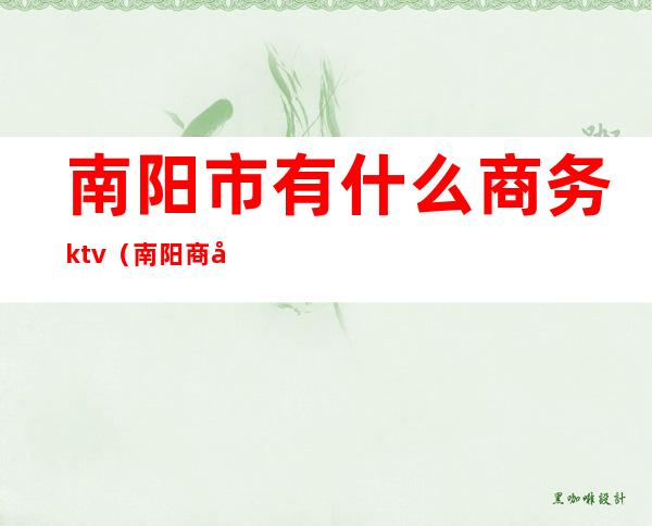南阳市有什么商务ktv(南阳商务局)