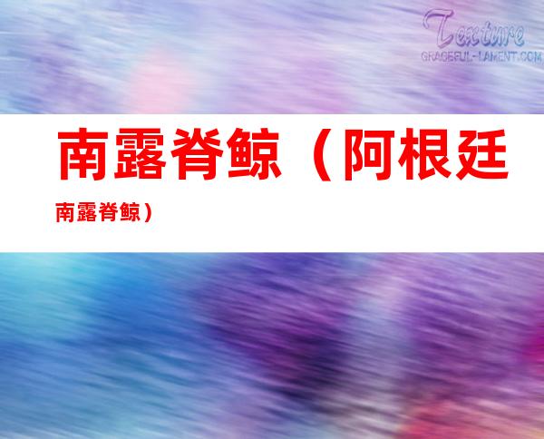 南露脊鲸(阿根廷南露脊鲸)