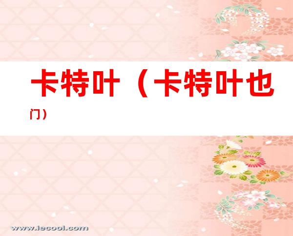 卡特叶(卡特叶也门)