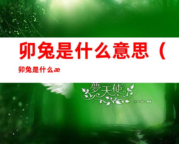 卯兔是什么意思(卯兔是什么意思是几点)