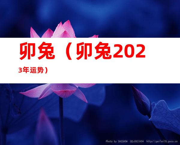 卯兔(卯兔2023年运势)