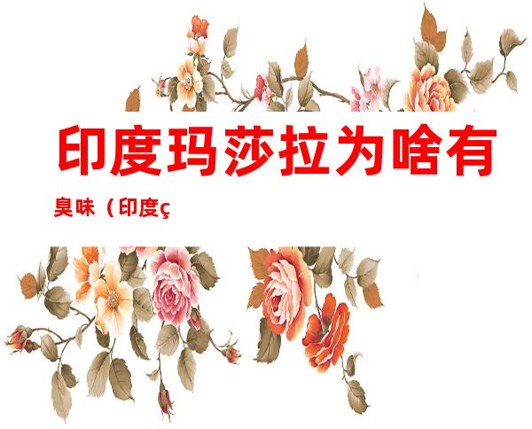 印度玛莎拉为啥有臭味(印度玛莎拉为什么很臭)
