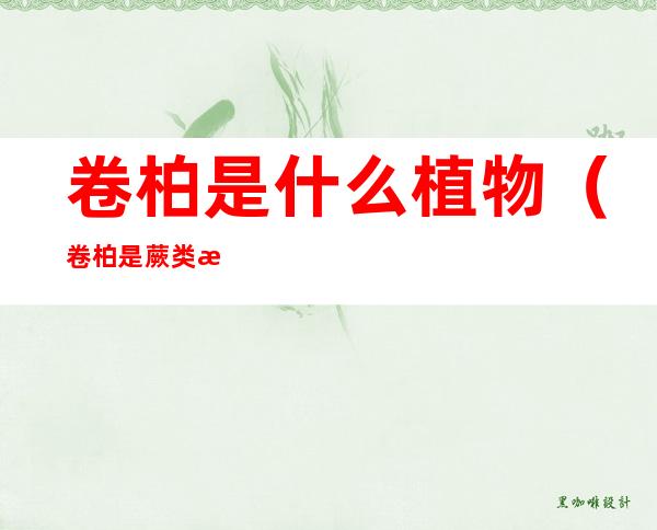 卷柏是什么植物(卷柏是蕨类植物还是裸子植物)